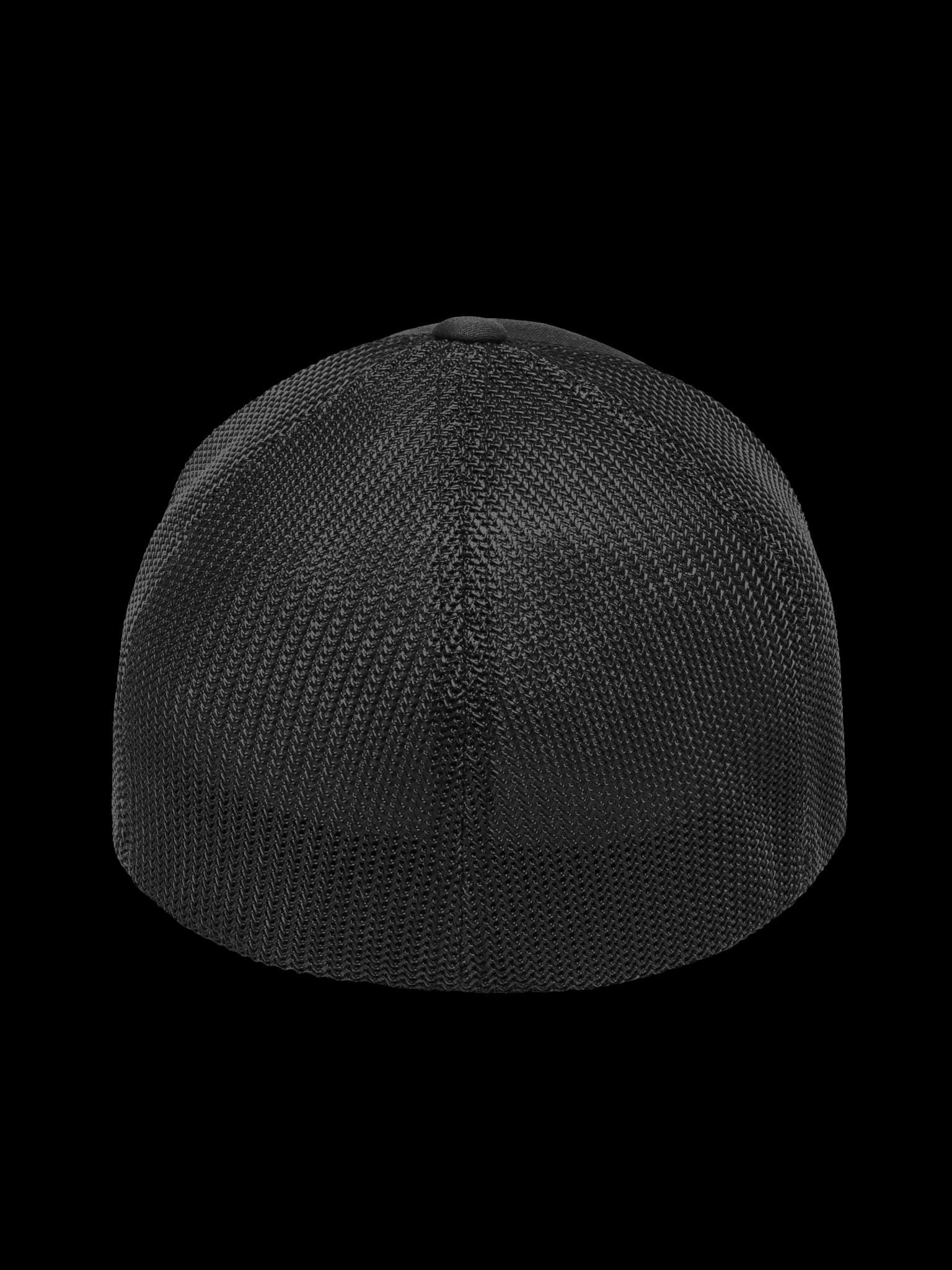 Wriddyl Signature Flexfit Cap, back view